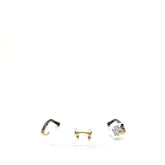 CARTIER CT00480 (002) Eyeglasses Frame